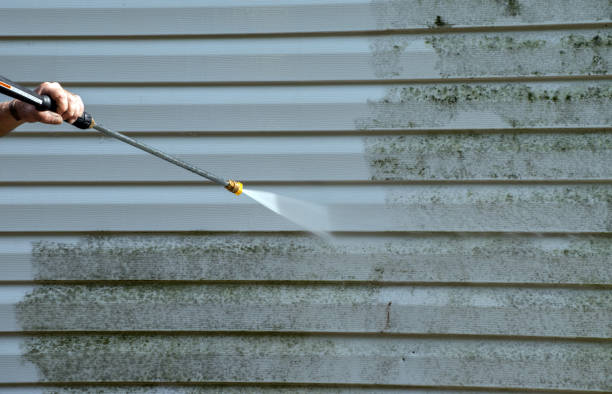 Solar Panel Cleaning in Fabens, TX